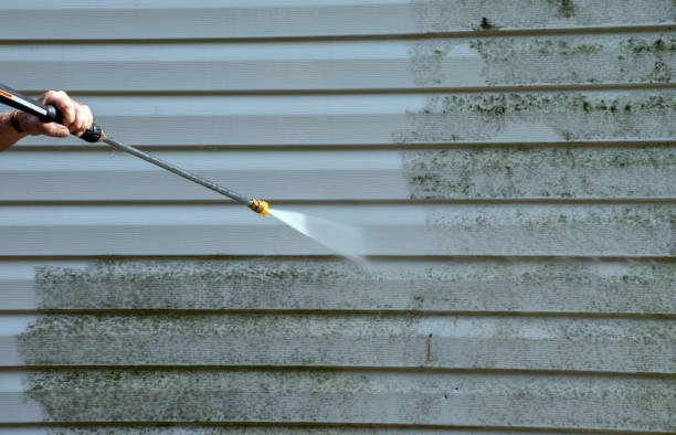 Best Mold Damage Repair  in Crest View Heights, NY