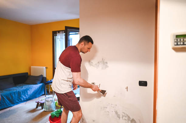 Best Local Mold Removal Service  in Crest View Heights, NY
